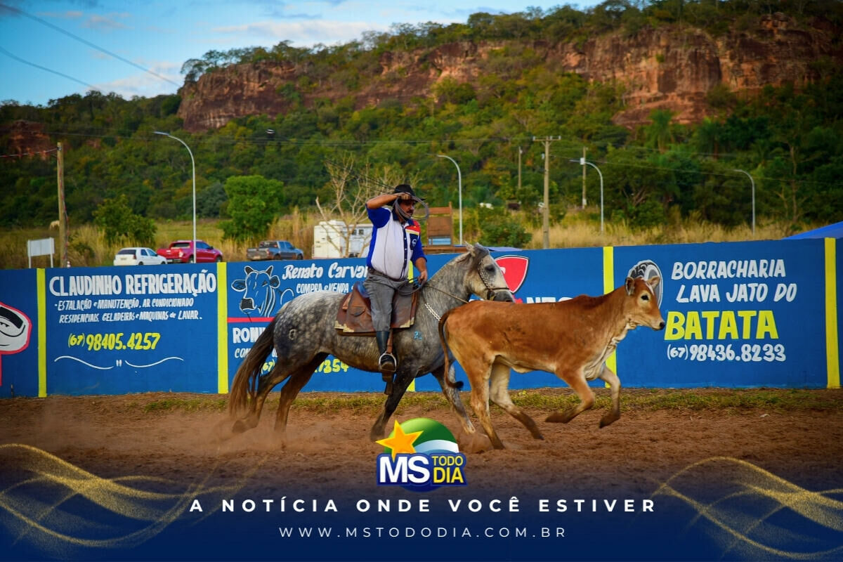 Imagem da Galeria